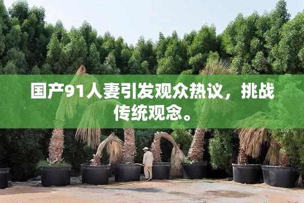 国产91人妻引发观众热议，挑战传统观念。