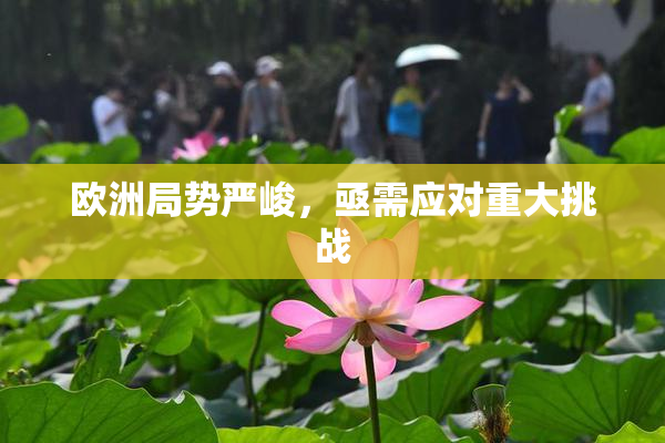 欧洲局势严峻，亟需应对重大挑战