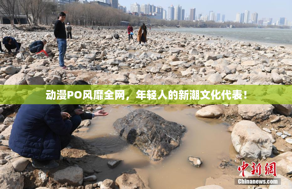 动漫PO风靡全网，年轻人的新潮文化代表！