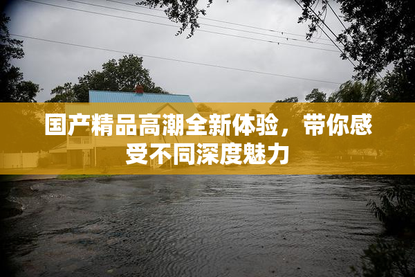 国产精品高潮全新体验，带你感受不同深度魅力