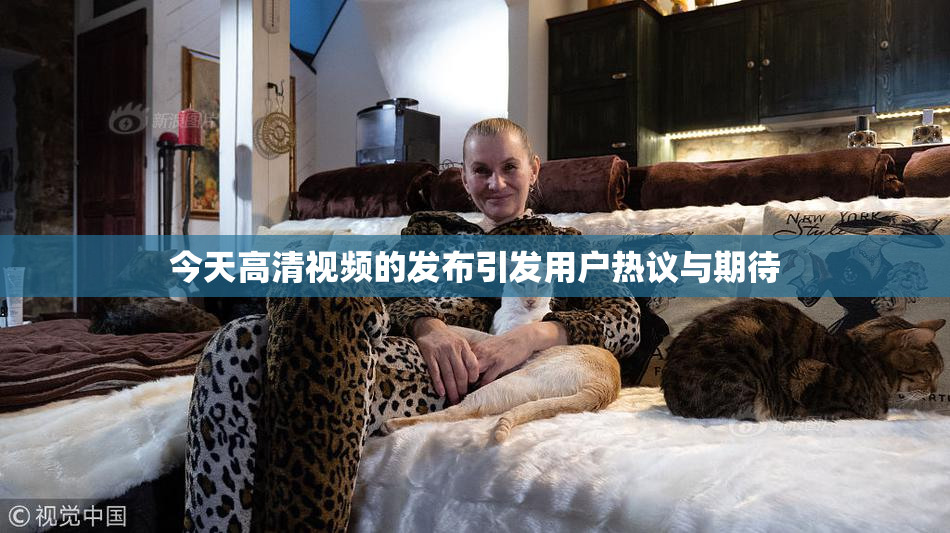 今天高清视频的发布引发用户热议与期待