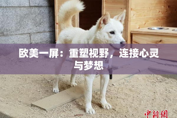 欧美一屏：重塑视野，连接心灵与梦想