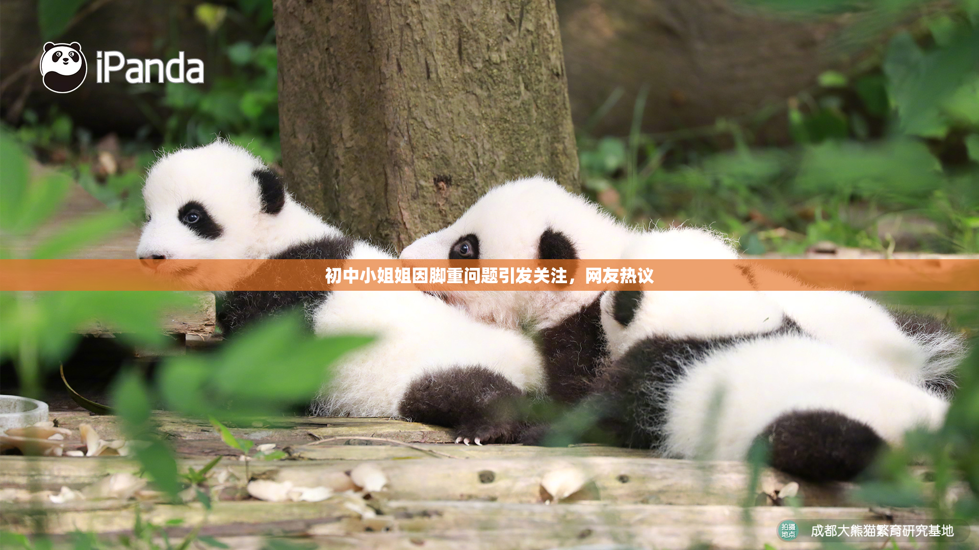 初中小姐姐因脚重问题引发关注，网友热议
