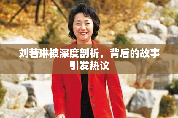 刘若琳被深度剖析，背后的故事引发热议