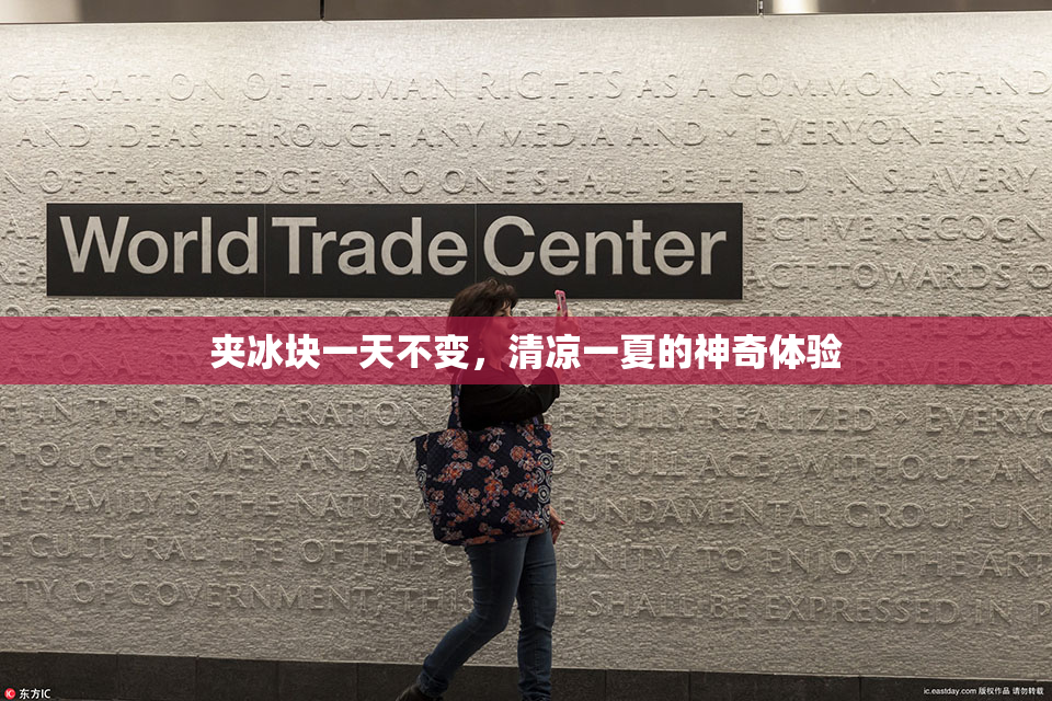 夹冰块一天不变，清凉一夏的神奇体验