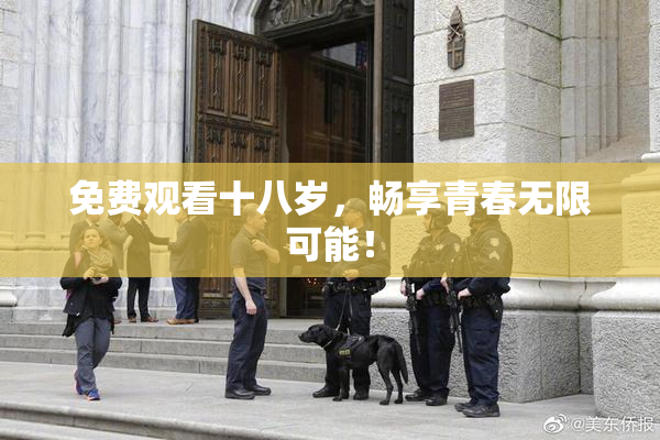 免费观看十八岁，畅享青春无限可能！