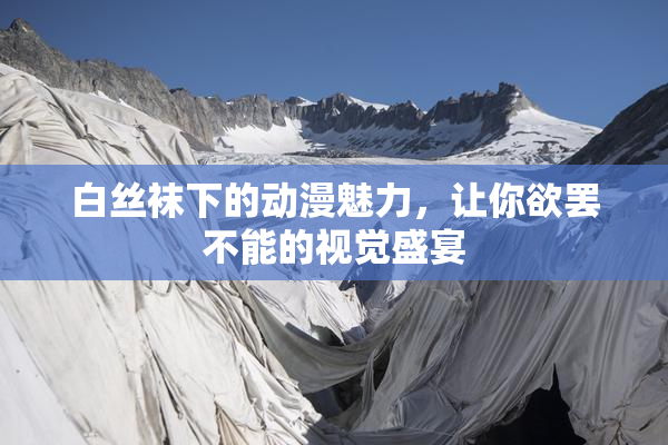 白丝袜下的动漫魅力，让你欲罢不能的视觉盛宴
