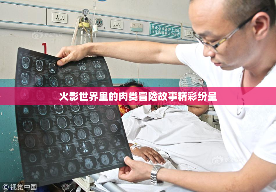 火影世界里的肉类冒险故事精彩纷呈