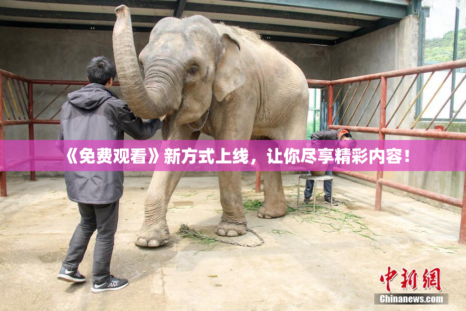《免费观看》新方式上线，让你尽享精彩内容！