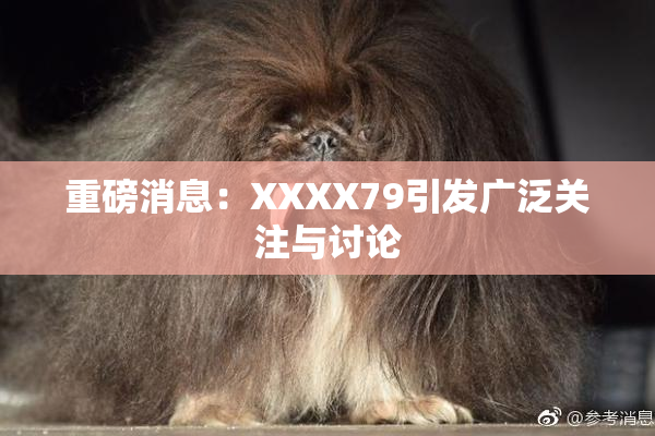 重磅消息：XXXX79引发广泛关注与讨论