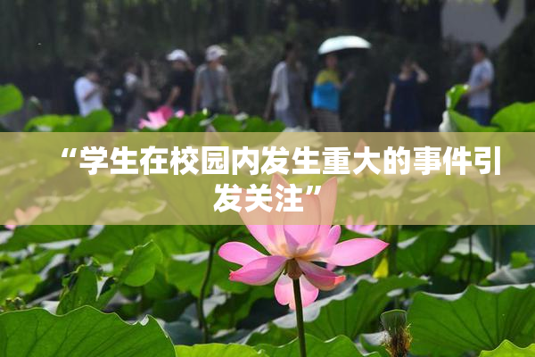 “学生在校园内发生重大的事件引发关注”