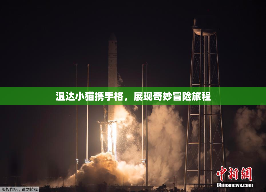 温达小猫携手格，展现奇妙冒险旅程