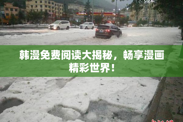 韩漫免费阅读大揭秘，畅享漫画精彩世界！