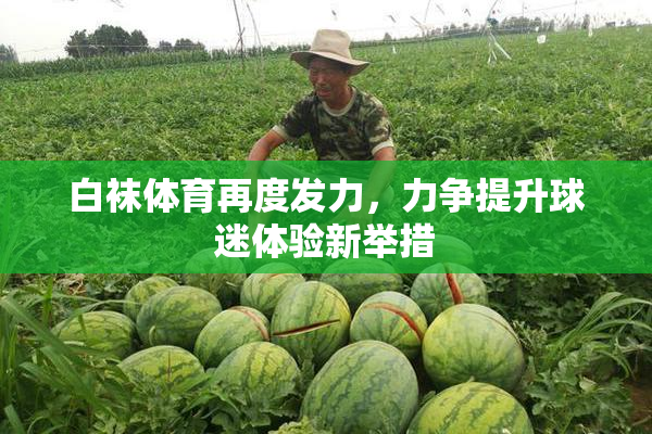 白袜体育再度发力，力争提升球迷体验新举措
