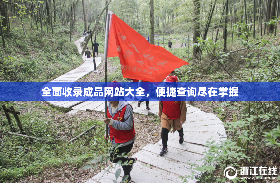全面收录成品网站大全，便捷查询尽在掌握