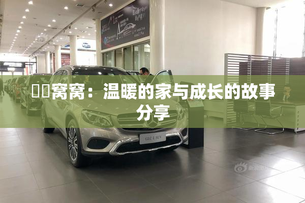 妺妺窝窝：温暖的家与成长的故事分享