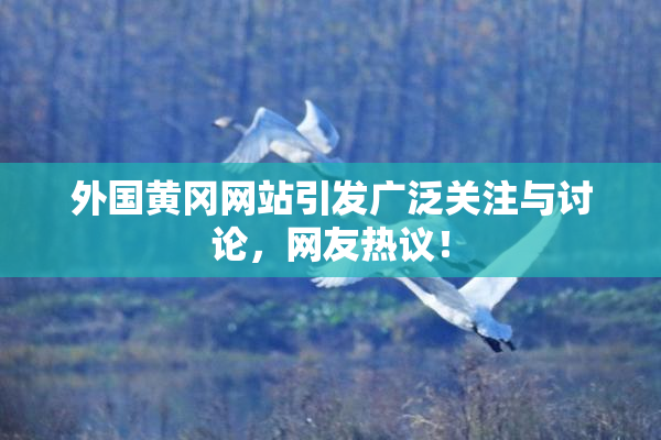 外国黄冈网站引发广泛关注与讨论，网友热议！