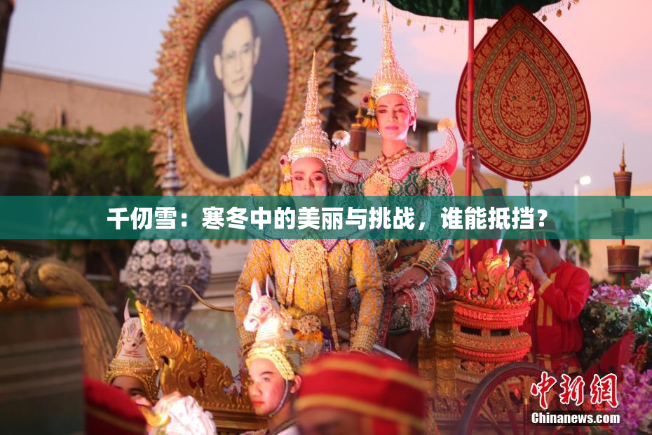 千仞雪：寒冬中的美丽与挑战，谁能抵挡？