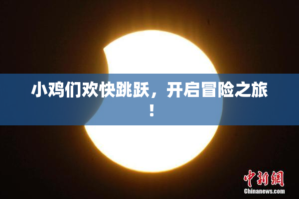 小鸡们欢快跳跃，开启冒险之旅！