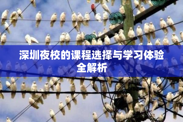 深圳夜校的课程选择与学习体验全解析