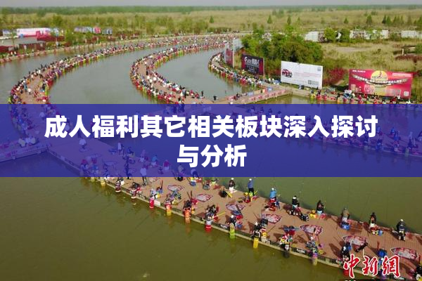 成人福利其它相关板块深入探讨与分析