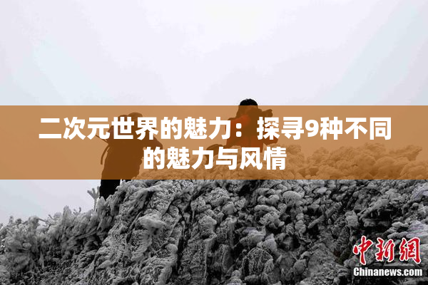 二次元世界的魅力：探寻9种不同的魅力与风情