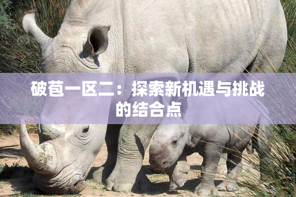 破苞一区二：探索新机遇与挑战的结合点