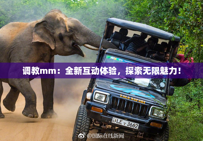 调教mm：全新互动体验，探索无限魅力！