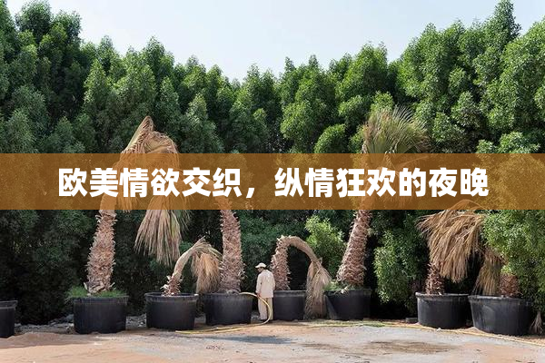 欧美情欲交织，纵情狂欢的夜晚