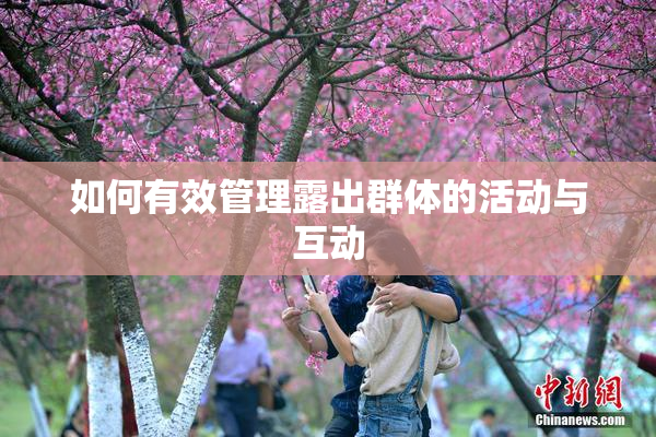 如何有效管理露出群体的活动与互动