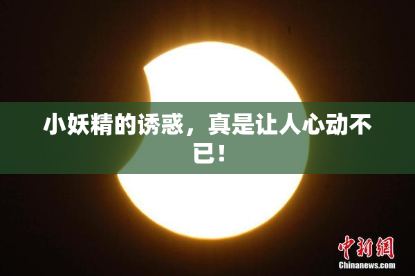 小妖精的诱惑，真是让人心动不已！