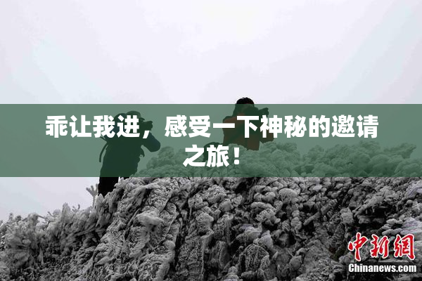 乖让我进，感受一下神秘的邀请之旅！