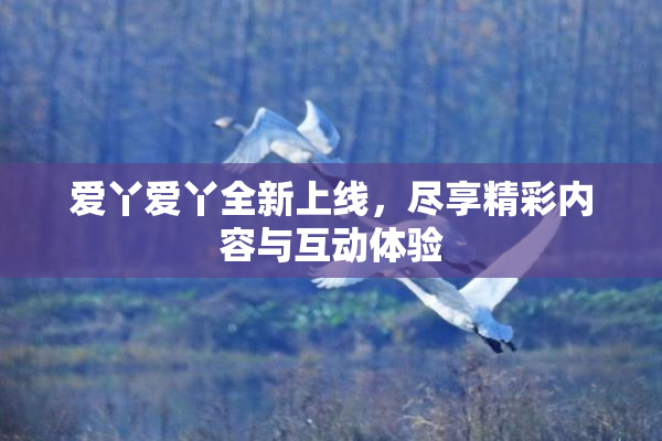 爱丫爱丫全新上线，尽享精彩内容与互动体验