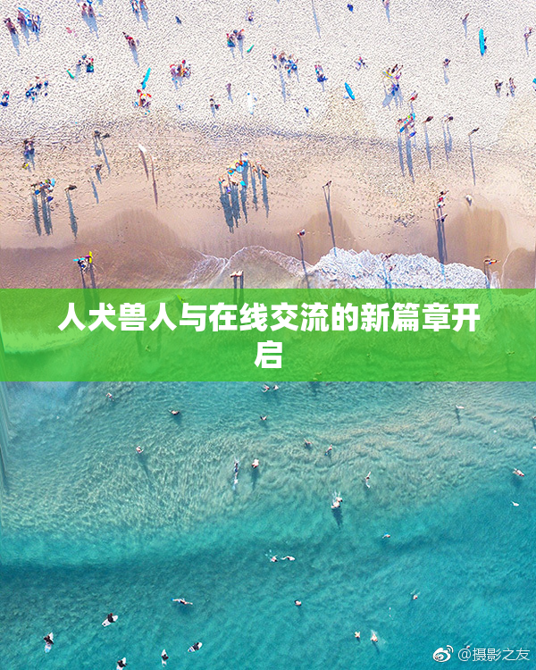 人犬兽人与在线交流的新篇章开启