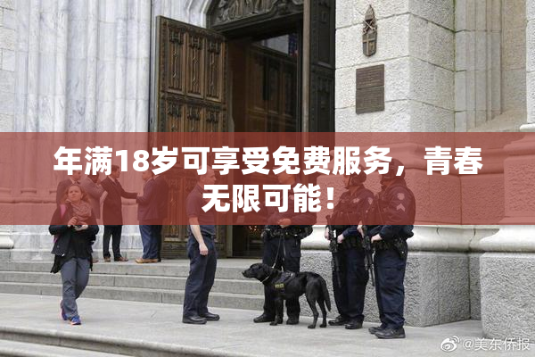 年满18岁可享受免费服务，青春无限可能！