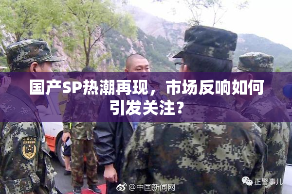 国产SP热潮再现，市场反响如何引发关注？