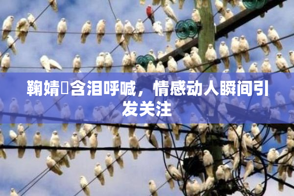 鞠婧祎含泪呼喊，情感动人瞬间引发关注