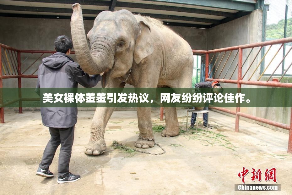美女裸体羞羞引发热议，网友纷纷评论佳作。