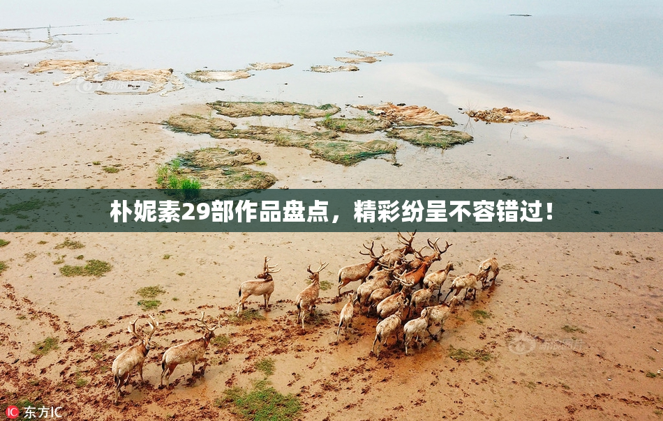 朴妮素29部作品盘点，精彩纷呈不容错过！