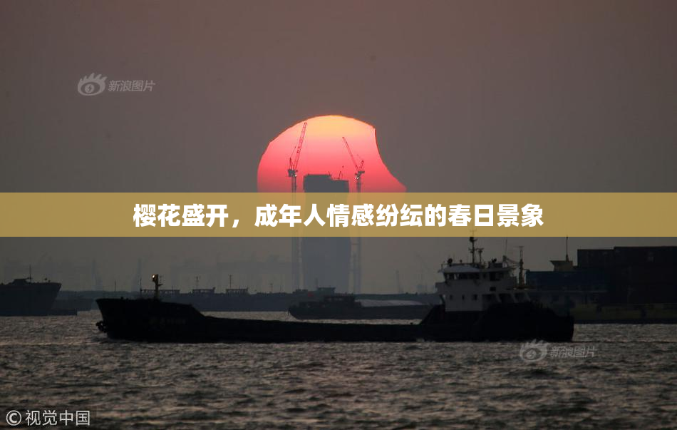 樱花盛开，成年人情感纷纭的春日景象