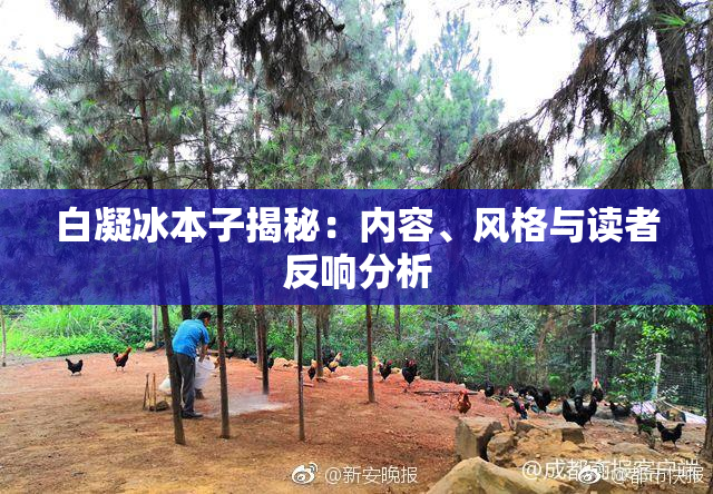 白凝冰本子揭秘：内容、风格与读者反响分析