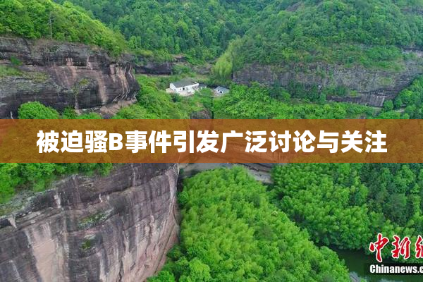 被迫骚B事件引发广泛讨论与关注