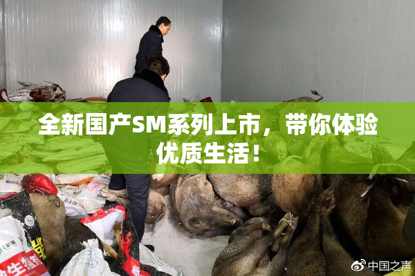 全新国产SM系列上市，带你体验优质生活！