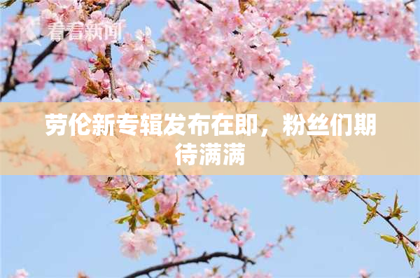 劳伦新专辑发布在即，粉丝们期待满满