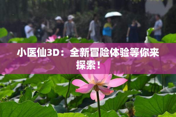 小医仙3D：全新冒险体验等你来探索！
