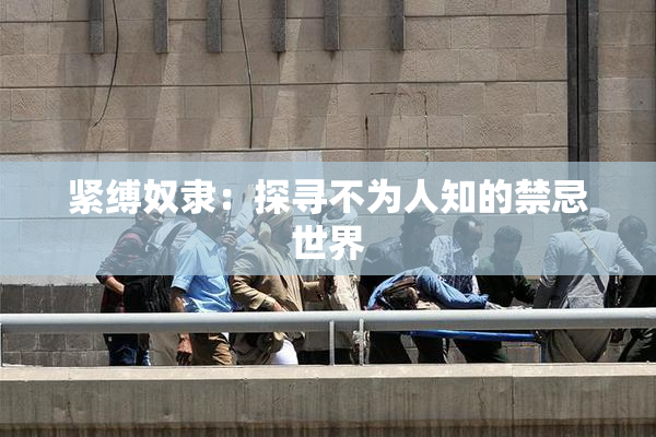 紧缚奴隶：探寻不为人知的禁忌世界