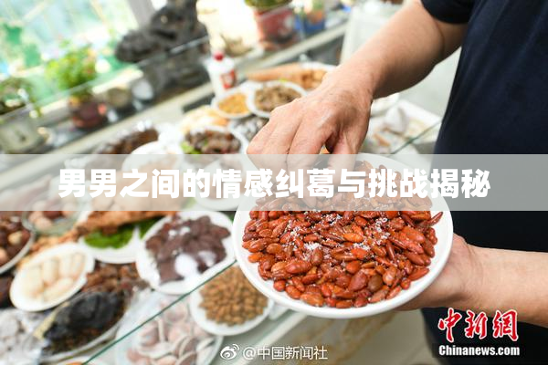 男男之间的情感纠葛与挑战揭秘