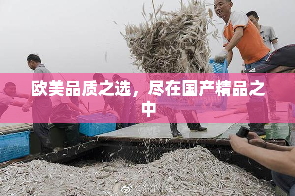 欧美品质之选，尽在国产精品之中
