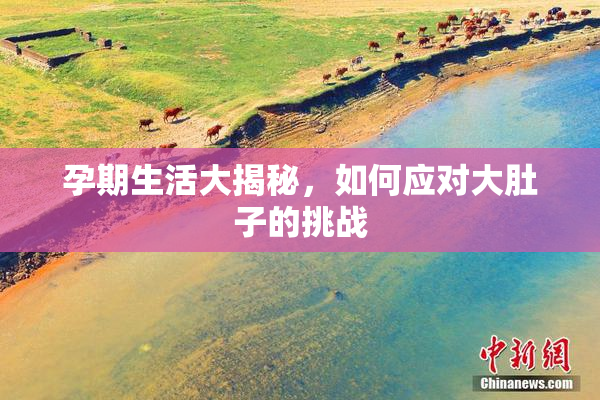 孕期生活大揭秘，如何应对大肚子的挑战