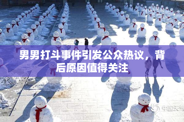 男男打斗事件引发公众热议，背后原因值得关注